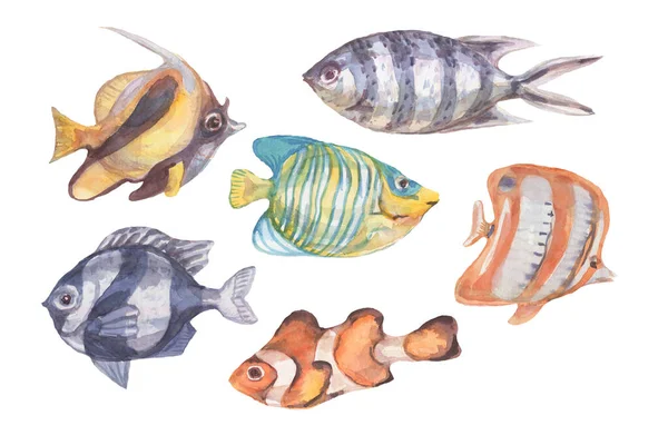 Fish Underwater Sea Ocean Corals Algae Seashells Watercolor Hand Drawn —  Fotos de Stock