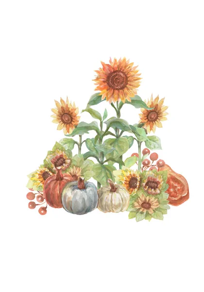 Vintage Pumpkin Sunflowers Watercolor Hand Drawn Illustration Print Textile Vintage — Foto Stock