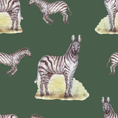 Savannah africa zebra zürafa safari hayvanları suluboya el çizimi. Tekstil vintage gerçekçiliğini yazdırın. baobab ağaçları