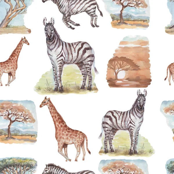 Savana Africa Zebra Žirafa Safari Zvířata Akvarel Ručně Kreslené Ilustrace — Stock fotografie