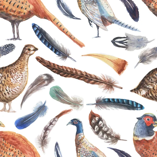 Pheasant Perdiz Plumas Aves Acuarela Ilustración Dibujada Mano Imprimir Conjunto — Foto de Stock