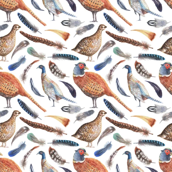 Pheasant Partridge Bird Feathers Watercolor Hand Drawn Illustration Print Textile — Stock Fotó