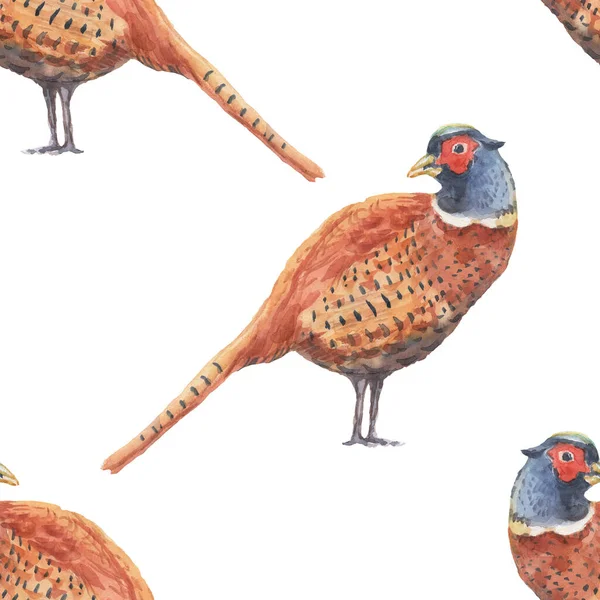 Sülün Keklik Kuşu Tüyleri Suluboya Resmi Çizimi Tekstil Vintage Patern — Stok fotoğraf