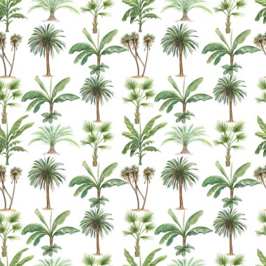 Palmiye ağaçları, muz palmiyesi, suluboya el çizimleri yapar. Desensiz yazdırma tekstil eski model gerçekçi stili