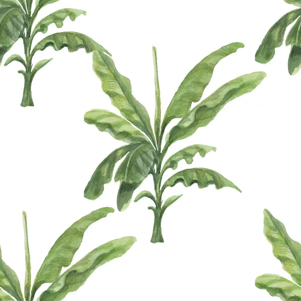 ヤシの木ジャングル植物バナナヤシ水彩手描きイラスト パターンシームレスプリントテキスタイルヴィンテージレトロ現実的なスタイル — ストック写真