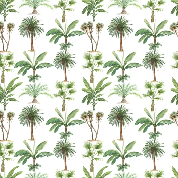 Palmiye ağaçları, muz palmiyesi, suluboya el çizimleri yapar. Desensiz yazdırma tekstil eski model gerçekçi stili