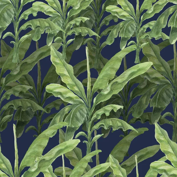 棕榈树丛林植物香蕉棕榈水彩画插图 Patern无缝印花纺织品复古写实主义风格 — 图库照片