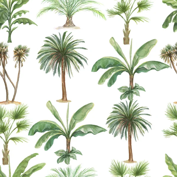 Palmiye Ağaçları Muz Palmiyesi Suluboya Çizimleri Yapar Desensiz Yazdırma Tekstil — Stok fotoğraf