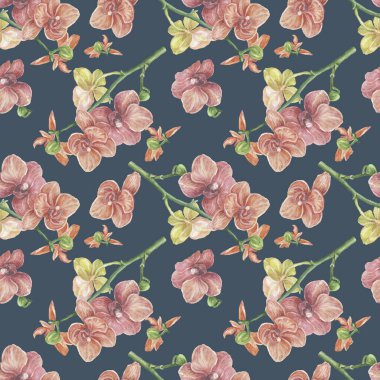 Orkideler çiçekler, egzotik suluboya elle çizilmiş resimler. Tekstil Clipart gerçekçiliğini yazdır. Botanik babasız, bitkisiz, doğa ormanı.