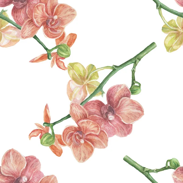 Fiori Orchidee Esotici Acquerello Disegnato Mano Illustrazione Stampa Tessile Clipart — Foto Stock