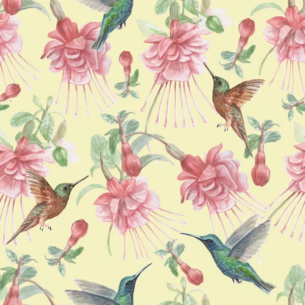 Colibris Fleurs Fuchsia Oiseaux Aquarelle Illustration Dessinée Main Imprimer Textile — Photo