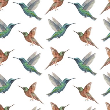 Kuş sinekkuşu suluboya elle çizilmiş. Desensiz baskı tekstil gerçekçiliği eskiz klasiği