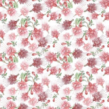 Fuchsia çiçekleri sinekkuşu kuşları elle çizilmiş suluboya resimler. Desensiz baskı tekstil gerçekçiliği eskiz klasiği
