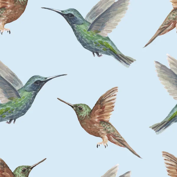 Vogel Kolibri Aquarell Handgezeichnete Illustration Muster Nahtlosen Druck Textilen Realismus — Stockfoto