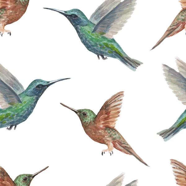 Vogel Kolibri Aquarell Handgezeichnete Illustration Muster Nahtlosen Druck Textilen Realismus — Stockfoto