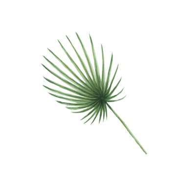 Geriye tropikal orman suluboya el çizimleri bırakır. Tekstil paternlerini beyaz arka plan yaban hayatına ayrı olarak yerleştir