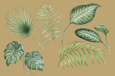 Geriye tropikal orman suluboya el çizimleri bırakır. Tekstil paternlerini beyaz arka plan yaban hayatına ayrı olarak yerleştir