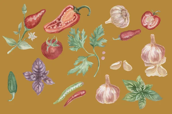 Chili Peper Specerijen Aquarel Met Hand Getekend Illustratie Print Textiel — Stockfoto