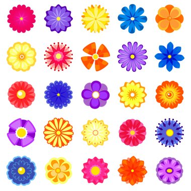 renkli çiçekler seti