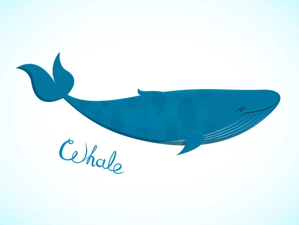 Grande baleia azul —  Vetores de Stock