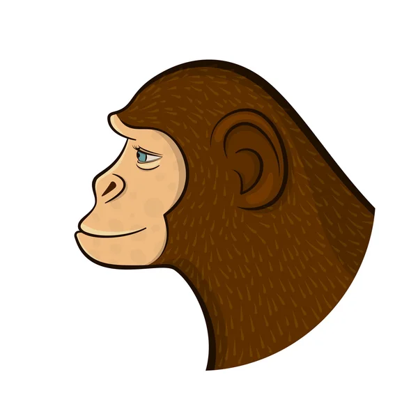 Lápis desenho macaco — Vetor de Stock