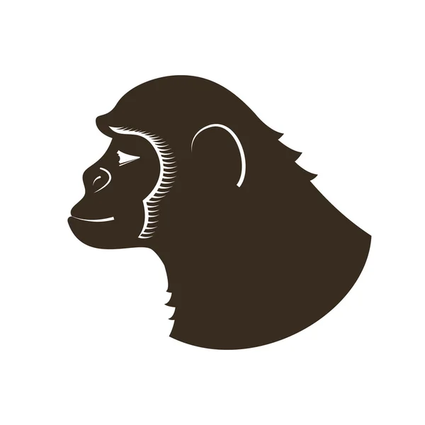 Pencil drawing monkey — Stockový vektor