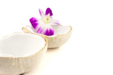 Biri ikiye bölünmüş iki hindistan cevizi