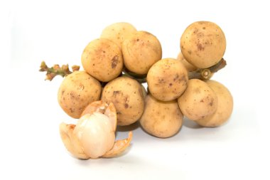 Beyaz arka plan üzerinde izole uzun kong lansium domesticum