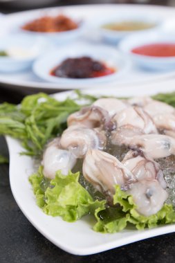 Ezilmiş buz bir yatakta Taze İstiridye.