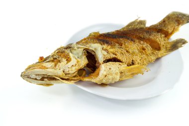 beyaz tabakta kızarmış nil tilapia balık