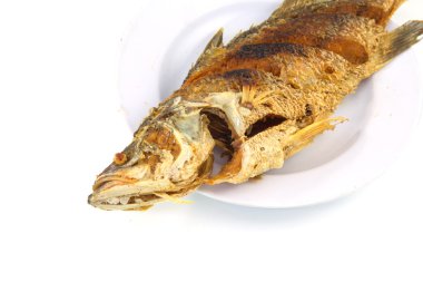 beyaz tabakta kızarmış nil tilapia balık