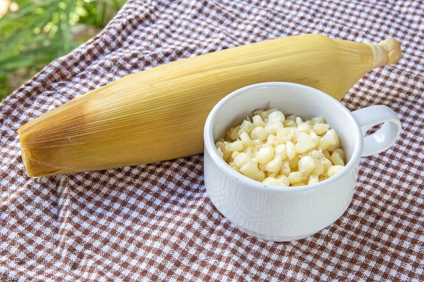 Corn Grain Plate — Stock Photo, Image