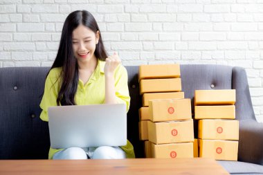 Genç Asyalı kadın bir tüccar kanepe üzerinde dizüstü bilgisayar kullanıyor müşterilerin siparişlerini online alışveriş, iş yeri KOBİ 'si ya da girişimi, girişimci ya da satıcı ve servis ürünü ile kontrol ediyor.