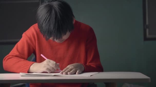 亚洲女孩是个孤独症患者 在家做家庭作业 了解行为发展障碍 自闭症是为训练 病人和治疗 教育观念而进行的障碍学习和写作 — 图库视频影像