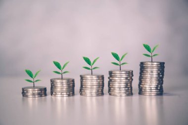 Coin stack with increase growth and leaf, finance and saving with tree, investment for profit and success, planning with financial, growing economy and fund, stock and income, business concept.