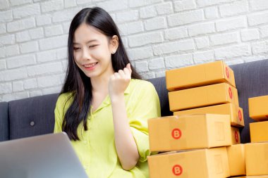 Genç Asyalı kadın bir tüccar kanepe üzerinde dizüstü bilgisayar kullanıyor müşterilerin siparişlerini online alışveriş, iş yeri KOBİ 'si ya da girişimi, girişimci ya da satıcı ve servis ürünü ile kontrol ediyor.