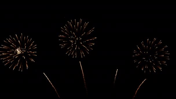 Mnoho Blikající Barevné Ohňostroje Případě Úžasné Černým Pozadím Oslavit Nový — Stock video