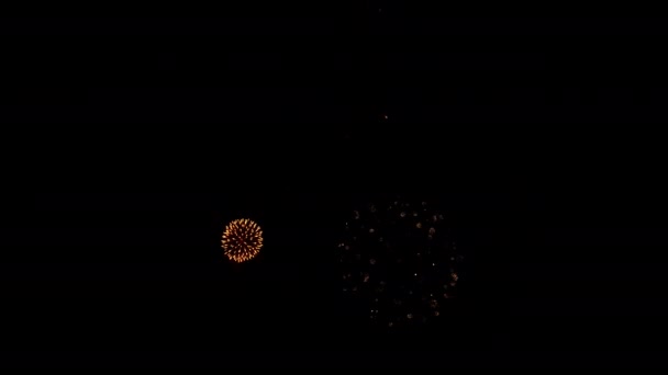 Πολλοί Αναβοσβήνει Πολύχρωμα Πυροτεχνήματα Περίπτωση Καταπληκτική Μαύρο Φόντο Γιορτάσουν Νέο — Αρχείο Βίντεο