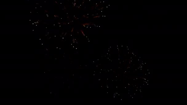 Πολλοί Αναβοσβήνει Πολύχρωμα Πυροτεχνήματα Περίπτωση Καταπληκτική Μαύρο Φόντο Γιορτάσουν Νέο — Αρχείο Βίντεο