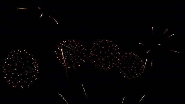 배경을 사람들이 놀랍게 축제를 기념하며 불꽃놀이를 — 비디오