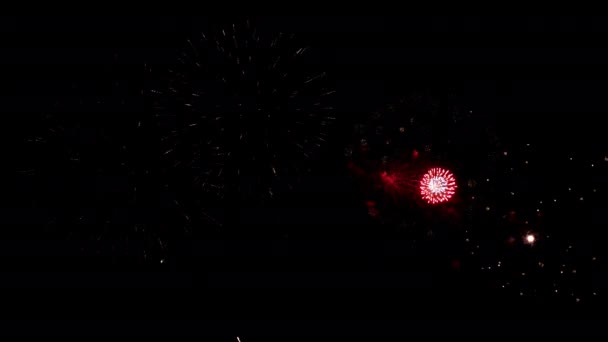 许多五彩缤纷的焰火闪耀在一个迷人的黑色背景的活动中 庆祝新年 假日和夜晚的节日 — 图库视频影像