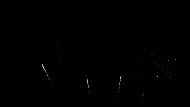 Muchos Fuegos Artificiales Colores Parpadeantes Evento Increíble Con Fondo Negro — Vídeo de stock