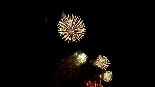 Sok Villogó Színes Tűzijáték Rendezvény Csodálatos Fekete Háttér Ünneplik Újév — Stock videók