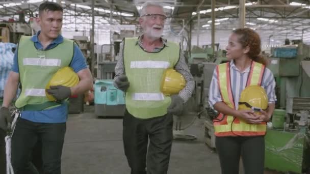 Team Ingenjör Hårt Hatt Promenader Och Prata Med Professionella Industriell — Stockvideo