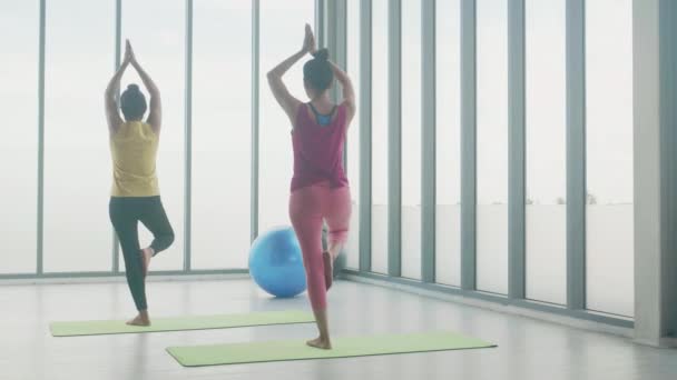 Giovane Donna Amici Che Fanno Yoga Formazione Con Muscoli Delle — Video Stock