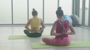 Genç kadın ve arkadaşları evde elleri minder üzerinde yoga yaparken, kadın spor yaparken spor yaparken sakin, pratik ve spor yaparken kulüp sağlığı için egzersiz yapıyor..