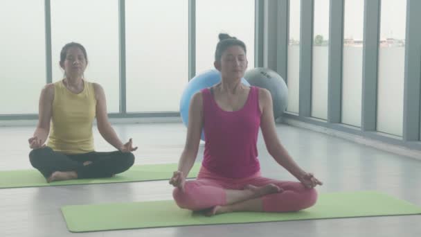 Junge Frau Und Freunde Machen Yoga Mit Meditation Auf Matte — Stockvideo