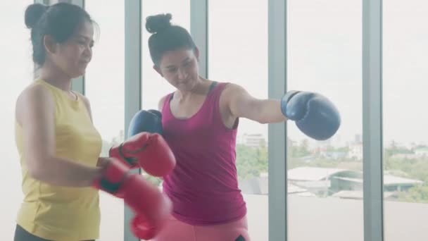 Genç Asyalı Kadın Spor Giyim Koçu Eldiven Eğitimi Egzersizi Giyiyorlar — Stok video