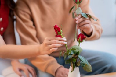 Mutlu Asyalı bir çift vazoda birlikte güller düzenliyor, evde romantik bir sevgililer günü aktivitesi, genç bir adam ve kadın kanepede oturuyor ve birbirlerine bağlanıyorlar, aşk, romantik bir tatil ve ilişki..