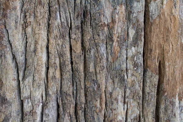 Textura de madera vieja — Foto de Stock